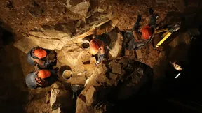 247 Bin Yıllık Kemikler Nesli Tükenmiş "Yak X"İ Ortaya Çıkardı