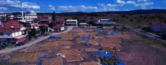 Doğal yöntemlerle yetiştirilen Demirci kuru fasulyesine talep artıyor