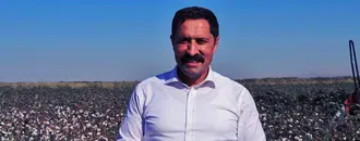 Hatay'da pamuk hasadı başladı 