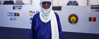 Türk savunma şirketlerine Mali hükümetinden övgü