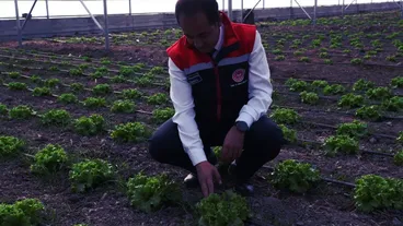 Doğu Anadolu'nun en büyük toplu sera alanı Erzincan'da kurulacak