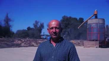 Edirne'de kuraklık ve sıcaklar bu yıl da ayçiçeğinde verimi düşürdü