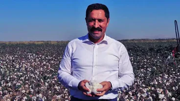 Hatay'da pamuk hasadı başladı 