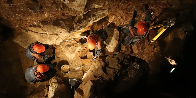 247 Bin Yıllık Kemikler Nesli Tükenmiş "Yak X"İ Ortaya Çıkardı