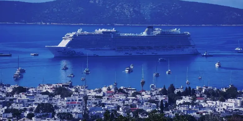"Aroya" kruvaziyeri 1750 yolcusuyla Bodrum'a geldi "Aroya" kruvaziyeri 1750 yolcusuyla Bodrum'a geldi