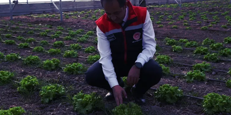 Doğu Anadolu'nun en büyük toplu sera alanı Erzincan'da kurulacak